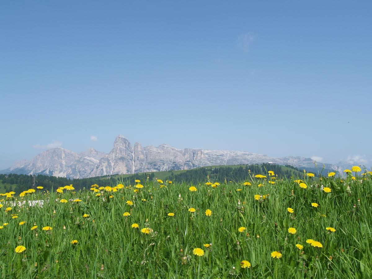 Residence Vajolet San Cassiano Екстериор снимка